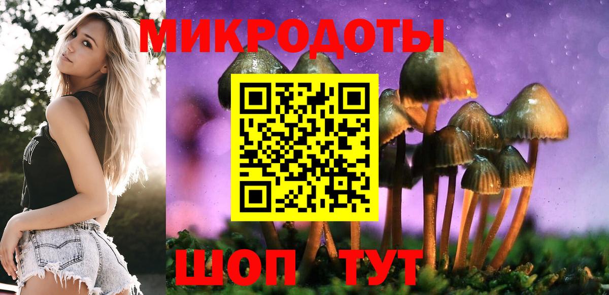 Псилоцибиновые грибы мицелий  Вход с VPN  Спасск-Дальний  Псилоцибиновые грибы ЛСД 